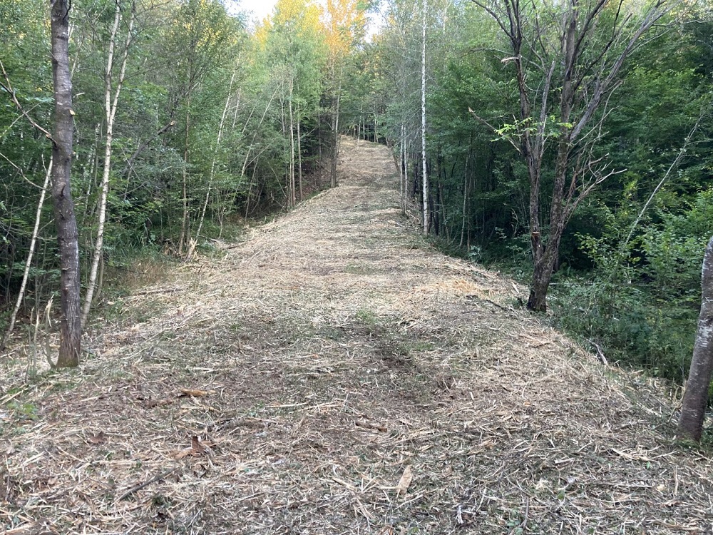 Broyage forestier - chemin forestier 3